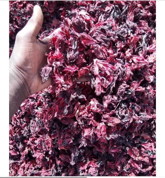 TBT product image