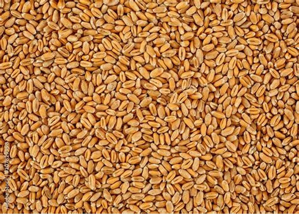 TBT product image