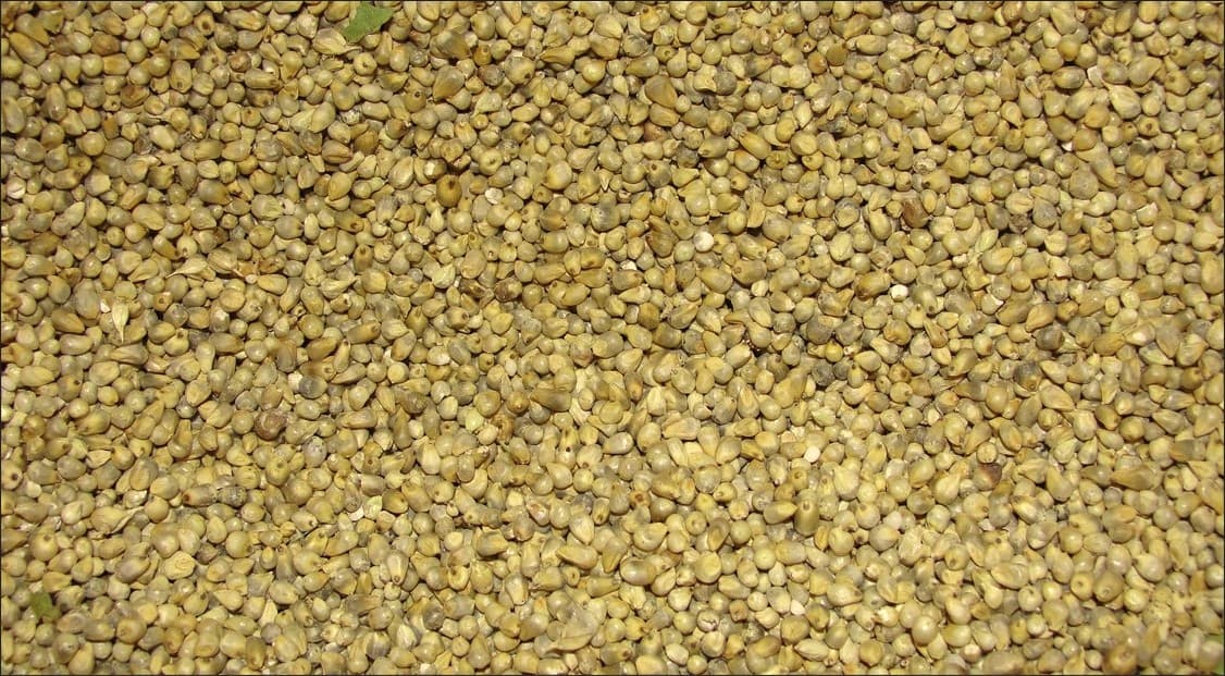 TBT product image