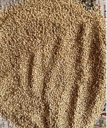 TBT product image
